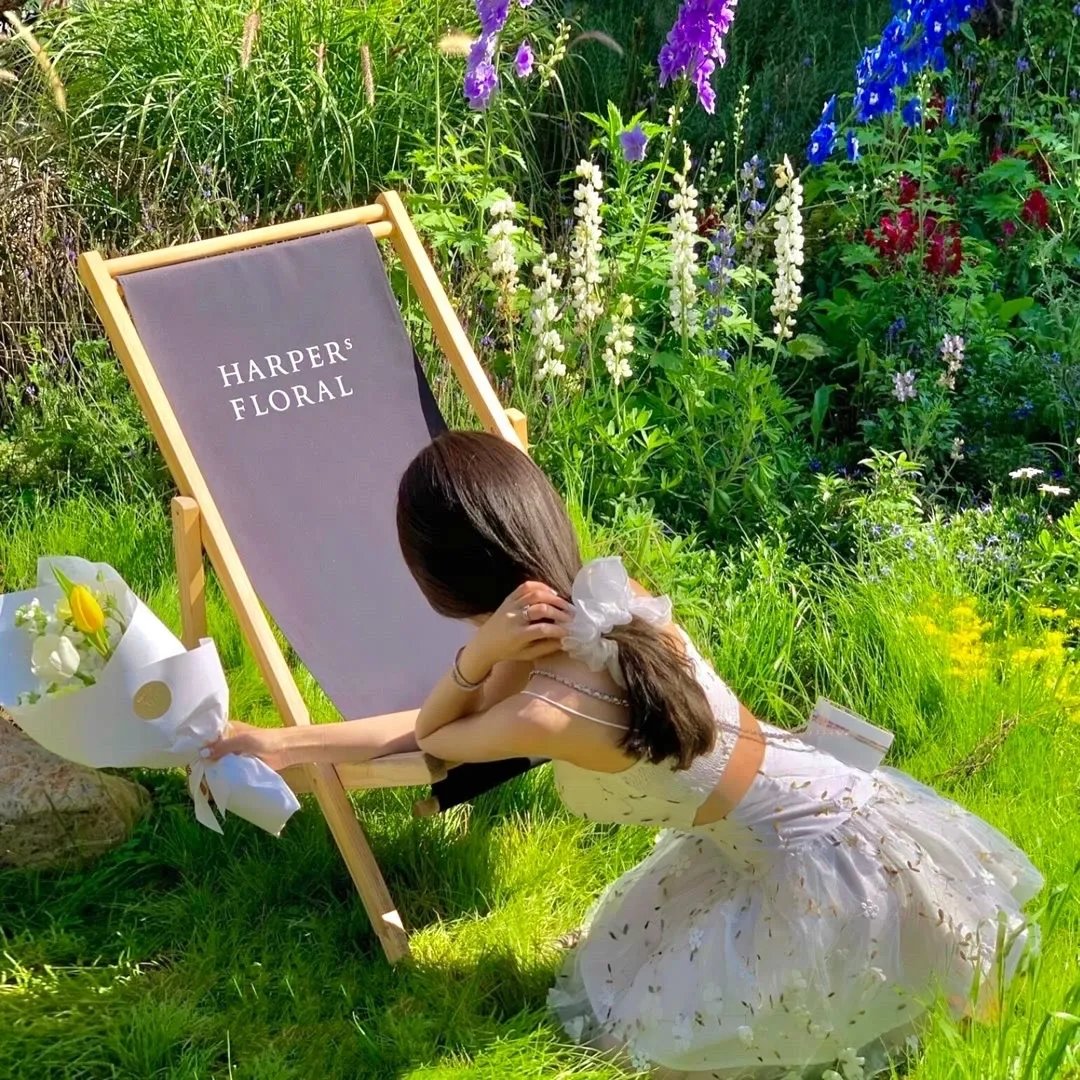 扶摇直上九万里